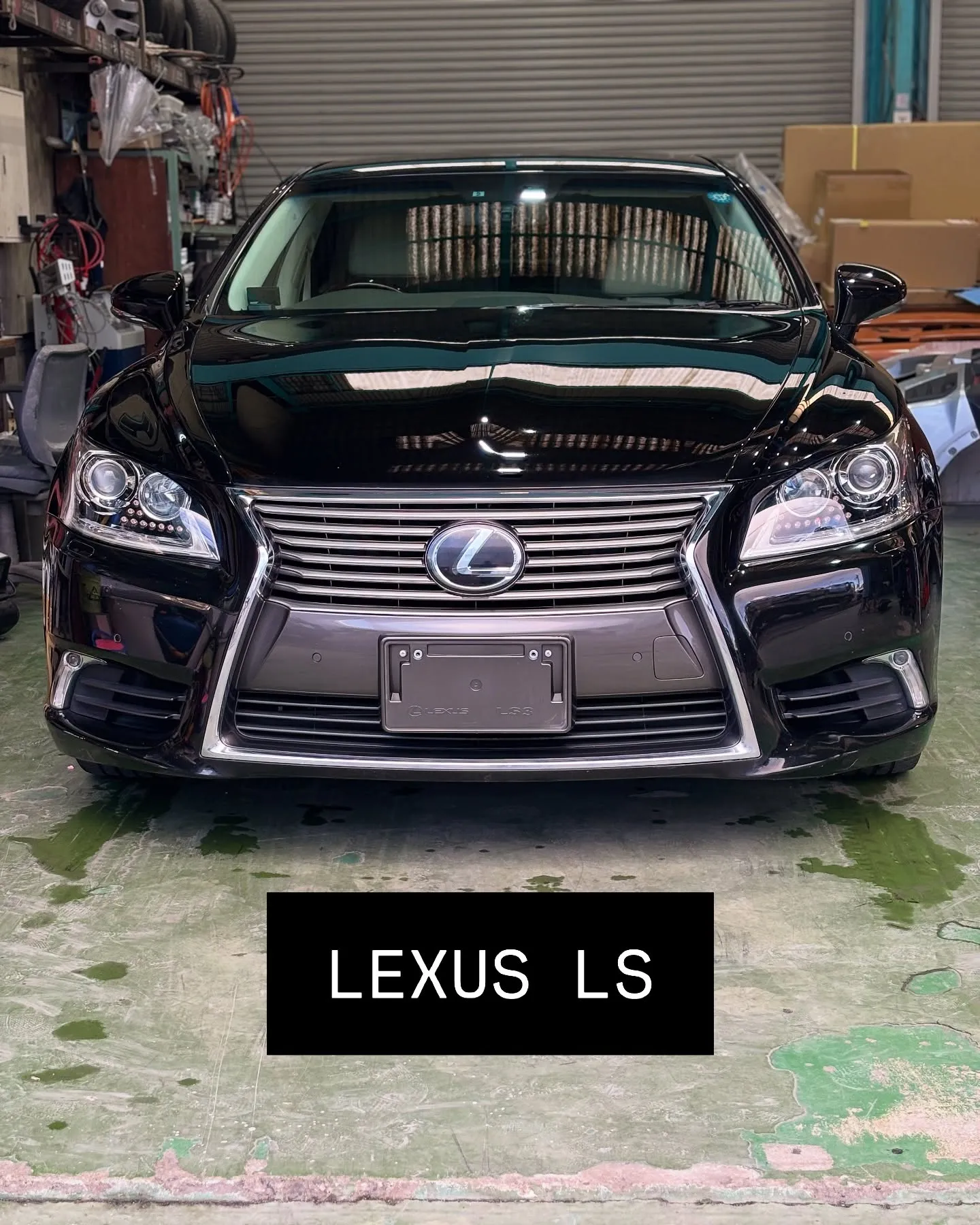 レクサス　LEXUS LS ボディポリッシュ